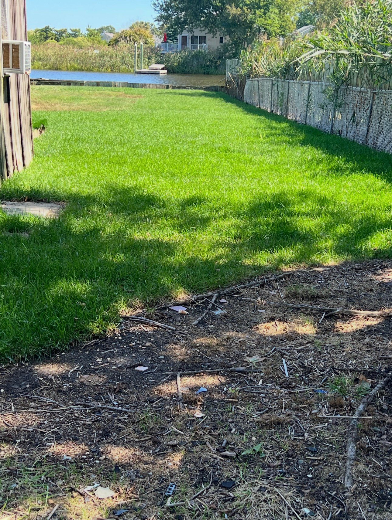 Backyard after restoration