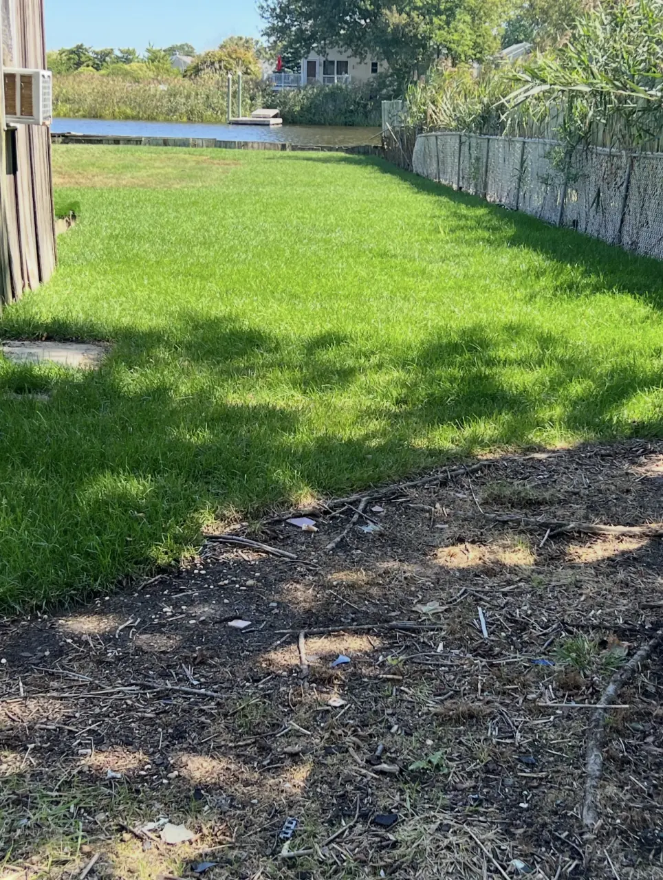 Backyard after restoration
