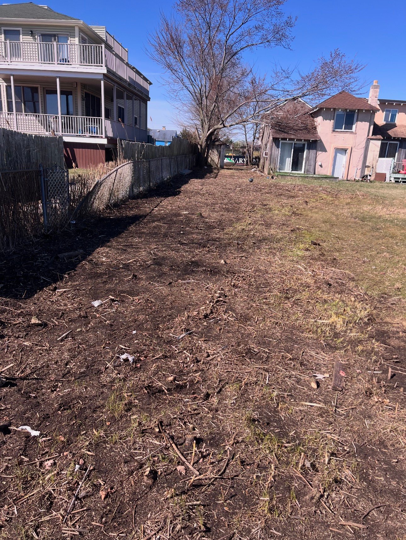 Full yard after cleanup