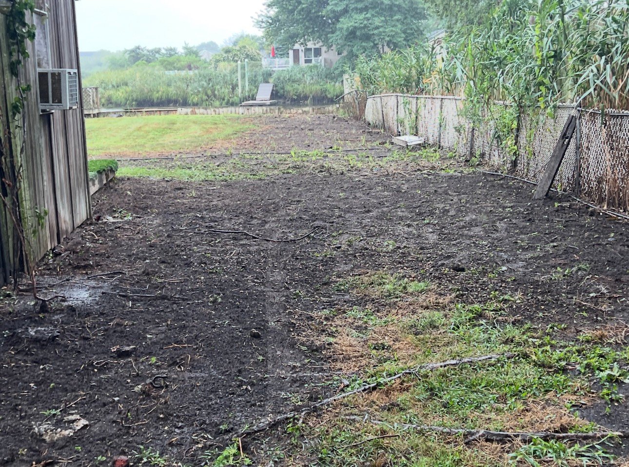 Backyard before restoration